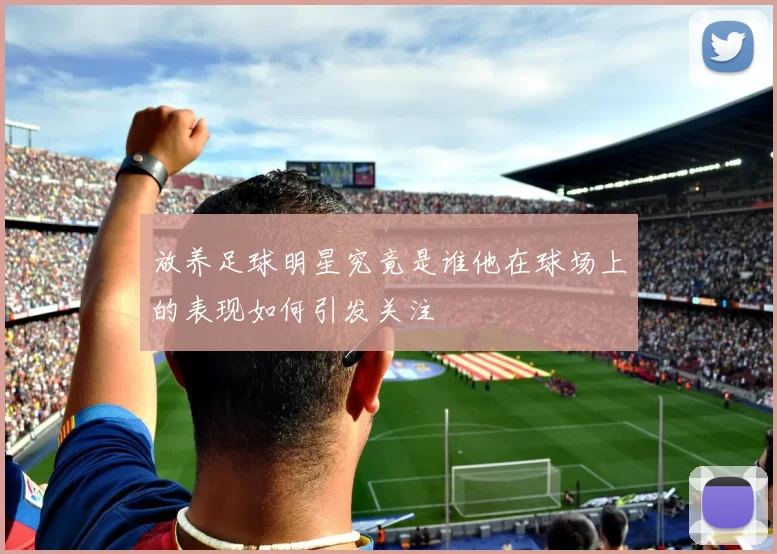 放养足球明星究竟是谁他在球场上的表现如何引发关注