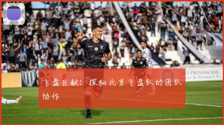 飞盘巨献：探秘北京飞盘队的团队协作