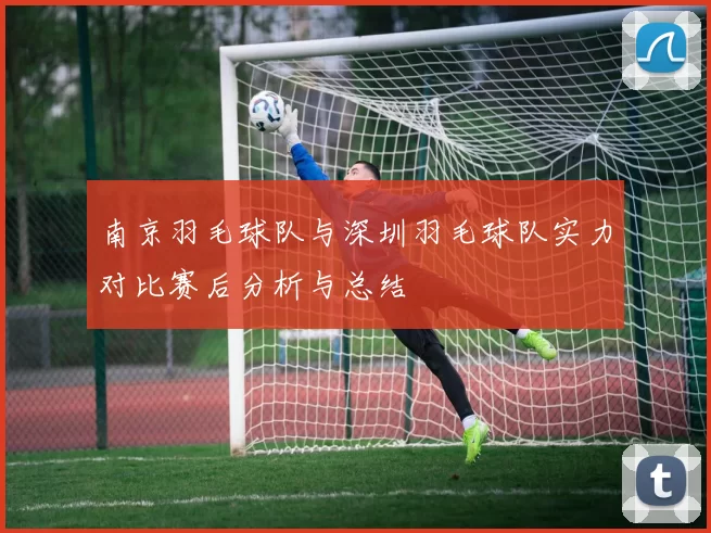 南京羽毛球队与深圳羽毛球队实力对比赛后分析与总结