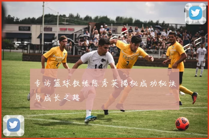 专访篮球教练陈秀英揭秘成功秘诀与成长之路