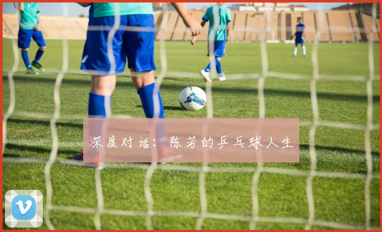 深度对话：陈芳的乒乓球人生