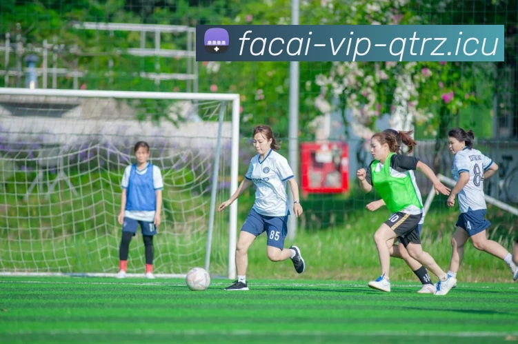 华体会体育品牌故事